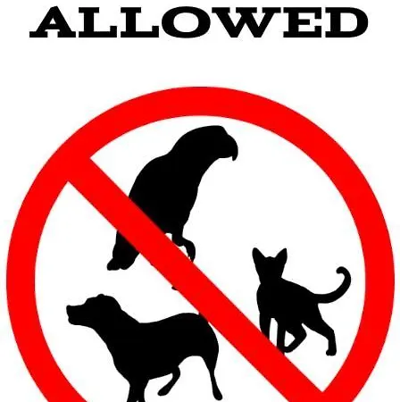 - Chelmonskiego Apartamento